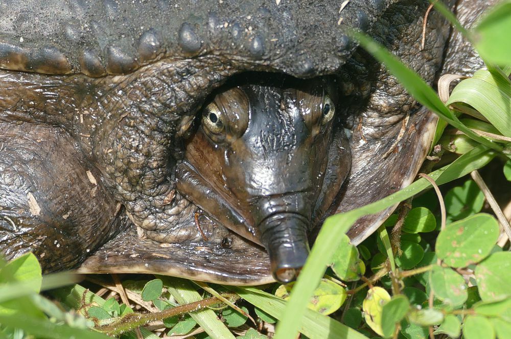 Click to See Next Image